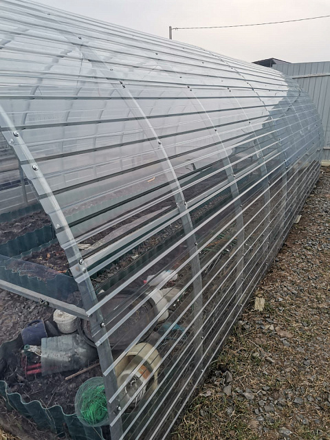 Прозрачный профлист, 3м, толщина 1мм